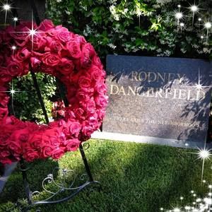 Meet your Posher, Leslie